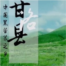 甘洛苦蕎宣傳片